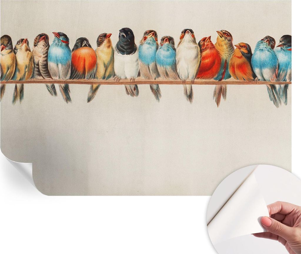 Selbstklebende Wandtapete - Dekorative Tapete für Wohnzimmer - Klebefolie für Wandbilder - Tapetenfolie für Wanddekoration - 104x70 cm - Vögel ...