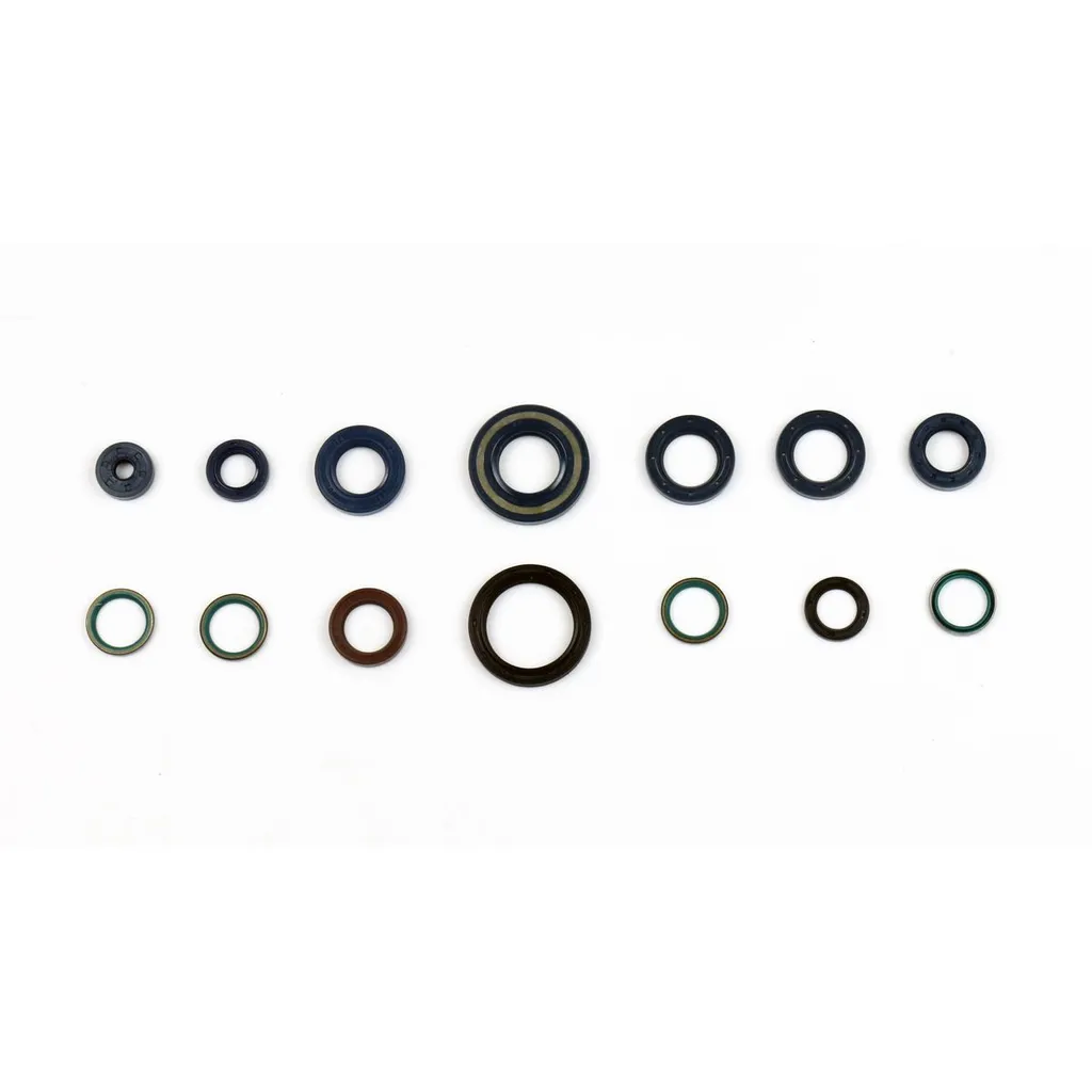 Joints moteur Athena haute résistance pour Ducati Monster 600 et 750