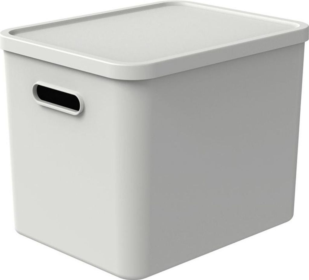 Rotho Albula Multibox 29,5x29x37 cm 27l weiß