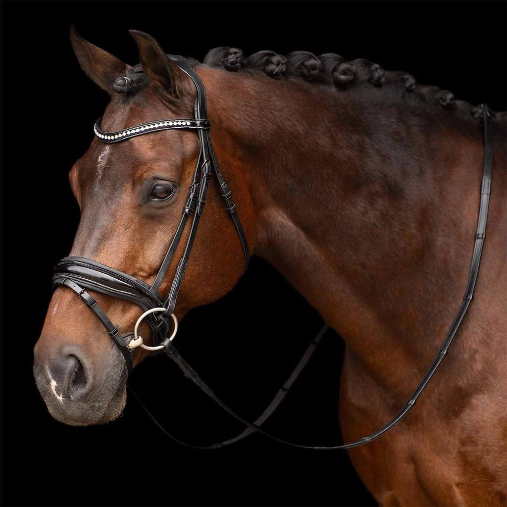Imperial Riding Trense IRHAthena HW 2023 Zaumzeug Black