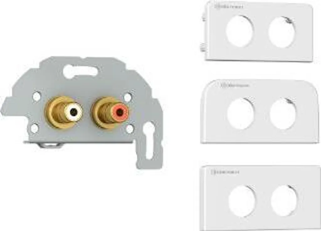Module RCA Gris Kindermann 7456000410 avec Connecteurs Audio Blindés