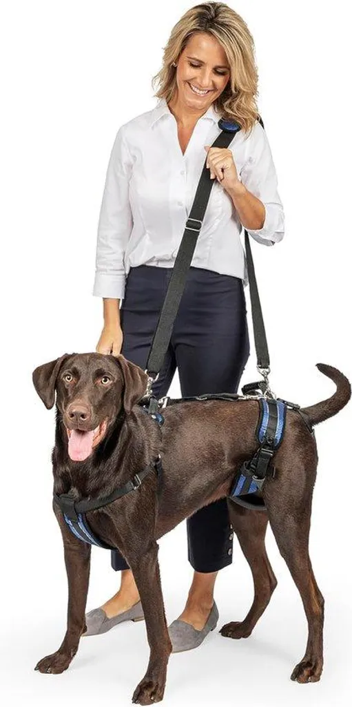 Aide au déplacement pour chien senior idéal escaliers et transport