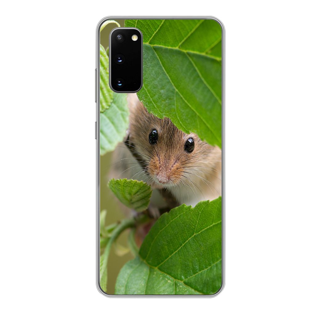MuchoWow Handyhülle Schutzhülle Hülle für Samsung Galaxy S20 Zwergmaus - Jungtiere - Blätter Silikon Softcase Handy Hülle - Bild