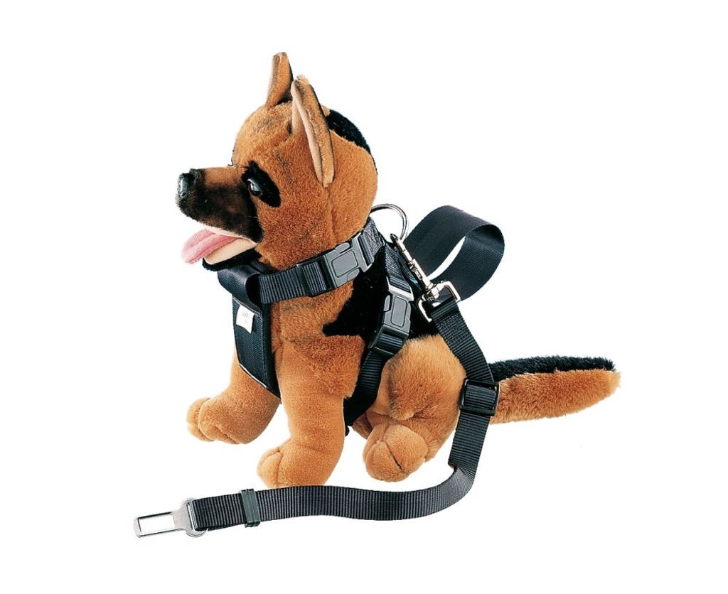 Nobby Geschirr incl. Sicherheitsgurt Gr. S, Hals: 15-53 cm, Bauch: 16-61 cm schwarz