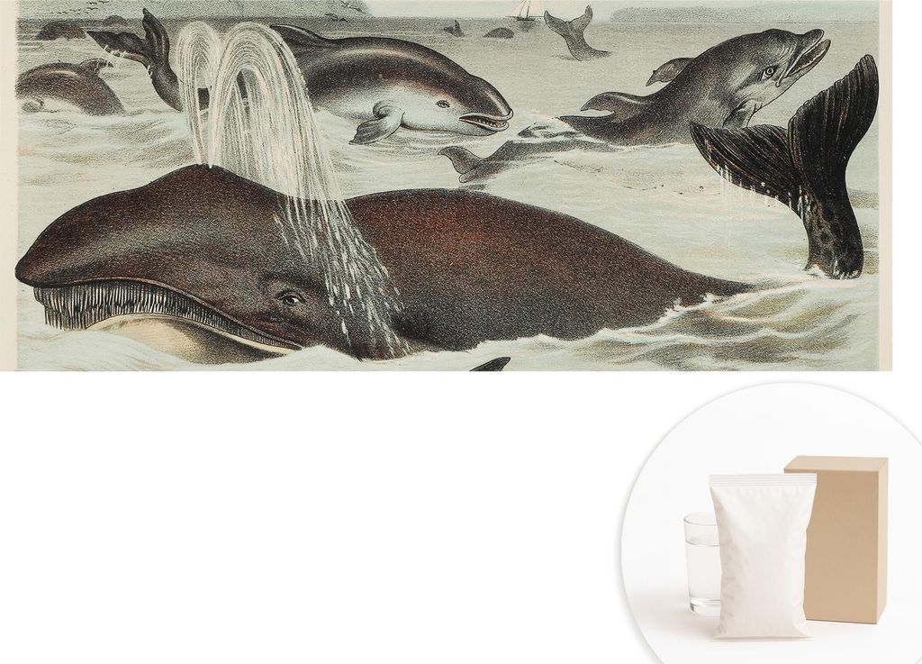 Fototapete - Wandbilder für Wohnzimmer - 208x146 cm - Dekorative Wandfolie - Modernes Design für Wanddekoration - Tapeten für Innenräume - Meer...