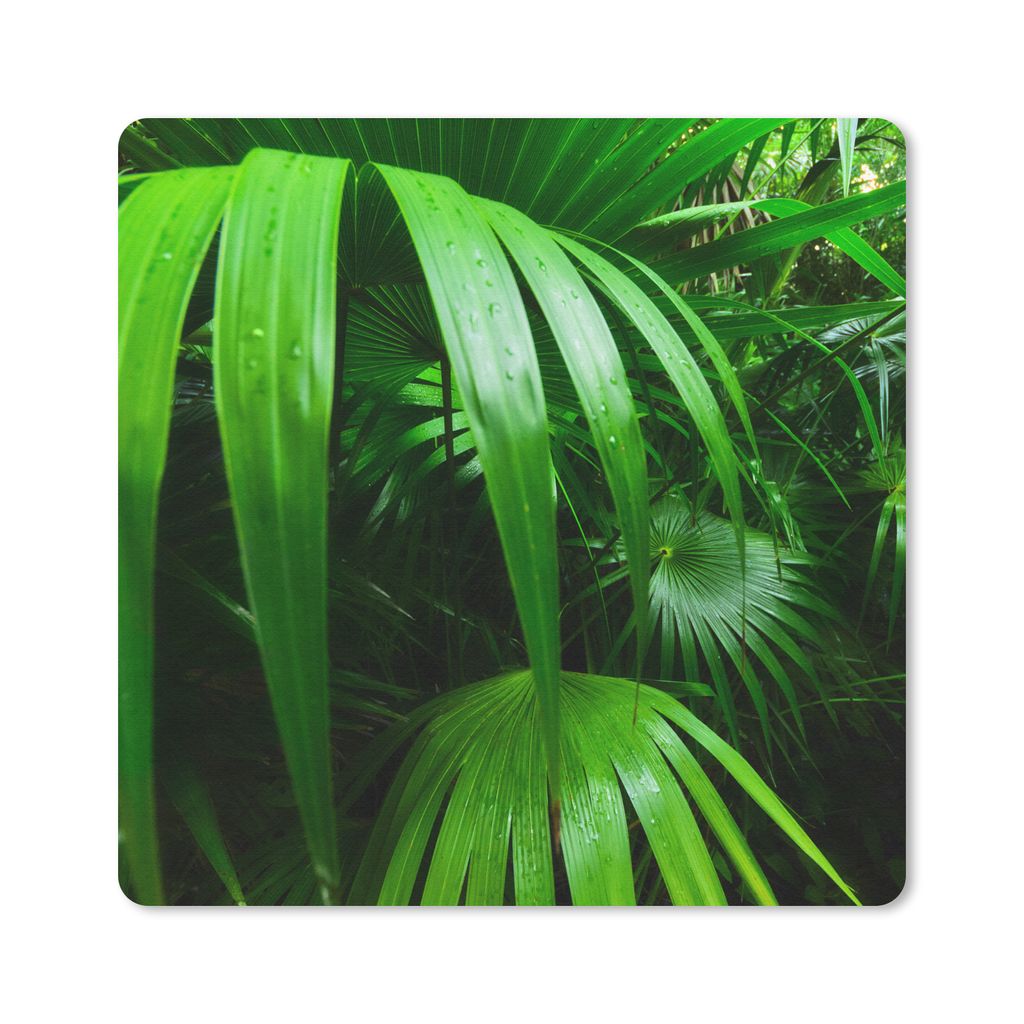 MuchoWow® Mauspad Mousepad Palmenblätter im Dschungel 30x30 Produktbild 