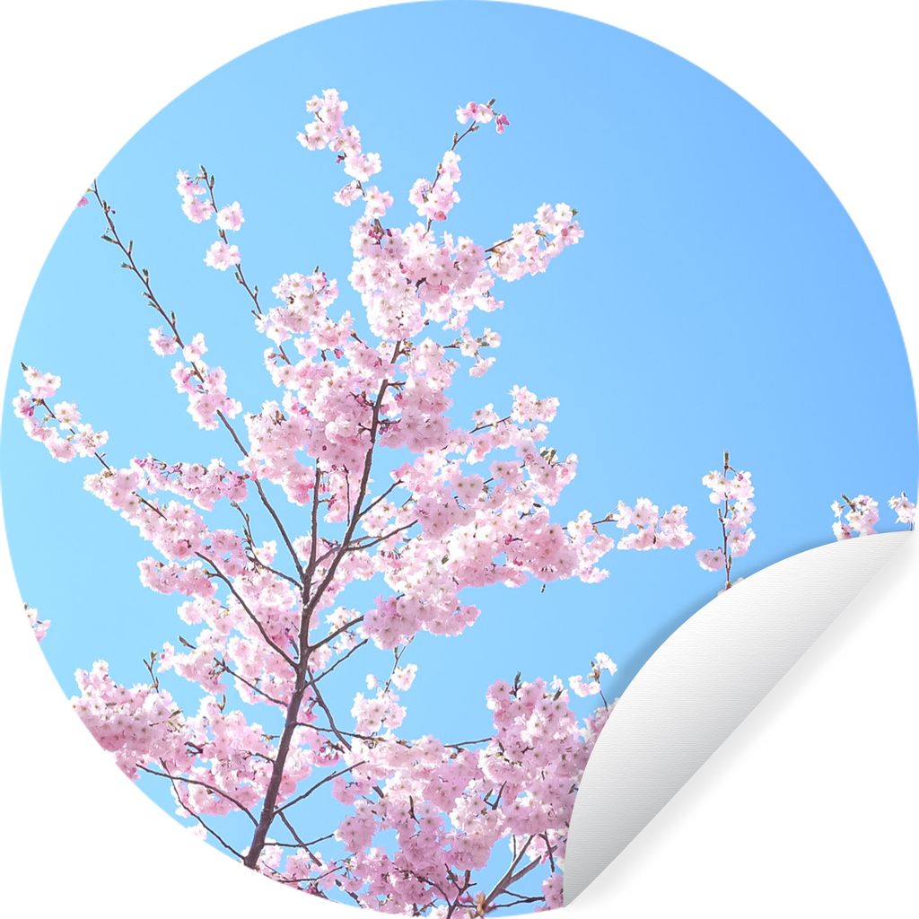 MuchoWow Runde Wandtattoo - Wandsticker Tapete Aufkleber Blütenbaum - Japan - Frühling Ø 80 cm Selbstklebend und Repositionierbar - Wandaufkle...