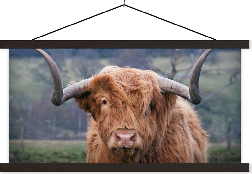 MuchoWow Textilposter Schottisches Hochlandrind - Hörner - Berg 60x30 cm mit schwarzem Rahmen - Textilien