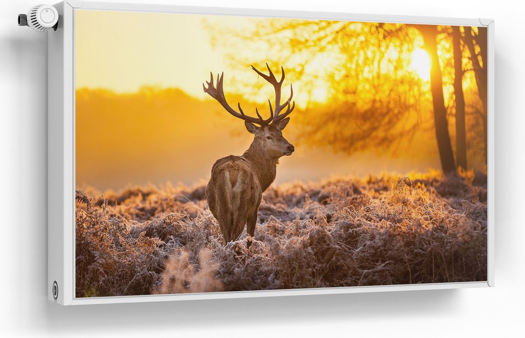 DEQORI Magnetmatte Heizung beschreibbar 100x60 cm 'Hirsch am Wintermorgen' Magnetfolie