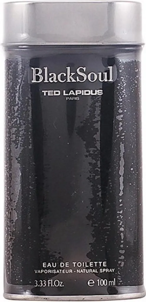 Ted Lapidus Black Soul Eau de Toilette pour Hommes Flacon de 100 ml
