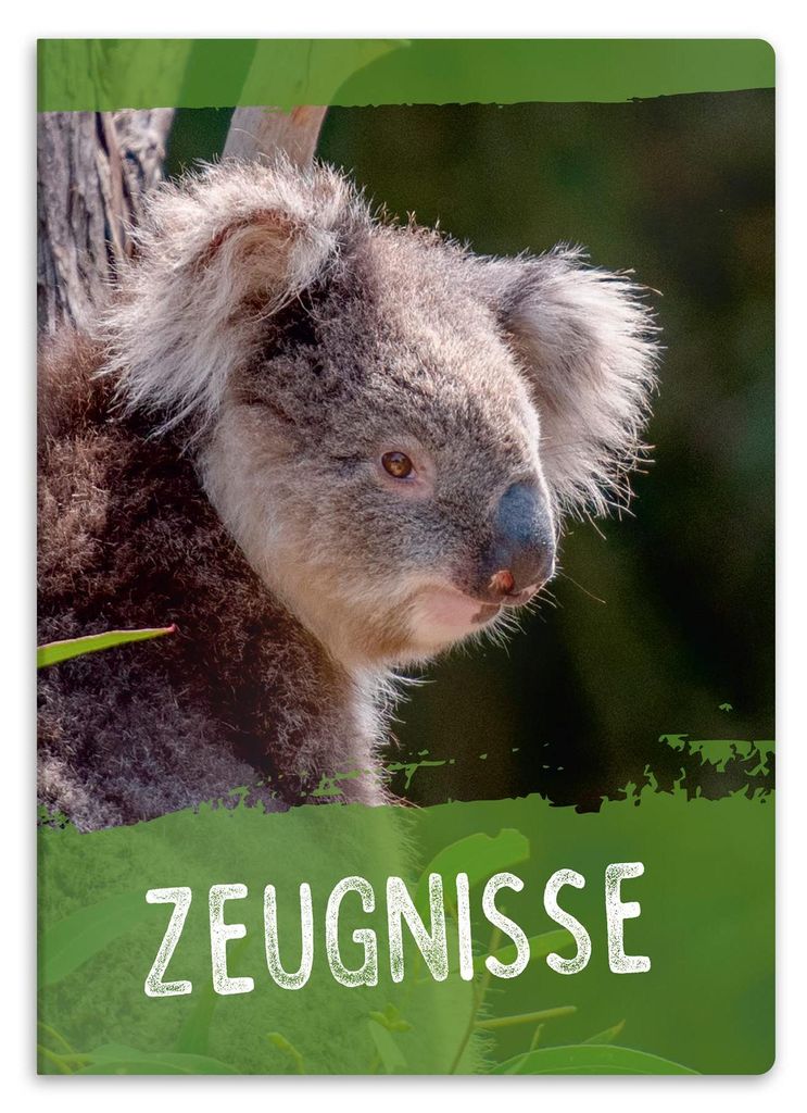 Zertifikatsmappe mit Muster, DIN A4, stabile Dokumentenmappe, Präsentationsmappe für Zertifikate - 20 stabile Fächer - für Kinder, Jugendliche,...