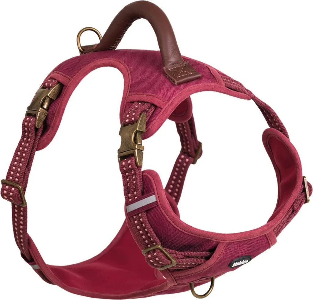 Pettorina Rossa Nobby SPORTY L | Offerta Miglior Prezzo Accessori Cani
