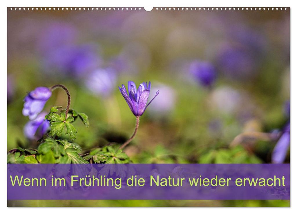 Wenn im Frühling die Natur wieder erwacht (Wandkalender 2027 DIN A2 quer), CALVENDO Monatskalender