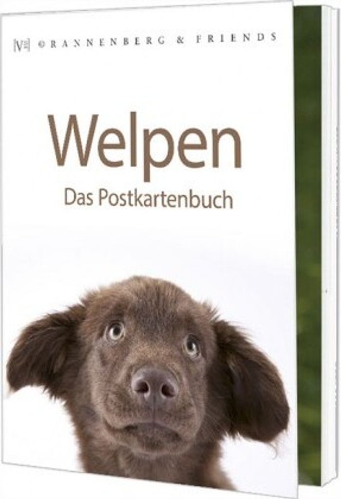Postkartenbuch Welpen Postkartenbücher Ansichtskarte Postkarte Hunde Hund Welpe Tiere