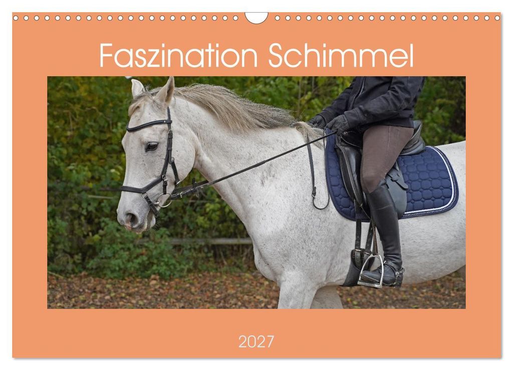 Faszination Schimmel (Wandkalender 2027 DIN A3 quer), CALVENDO Monatskalender