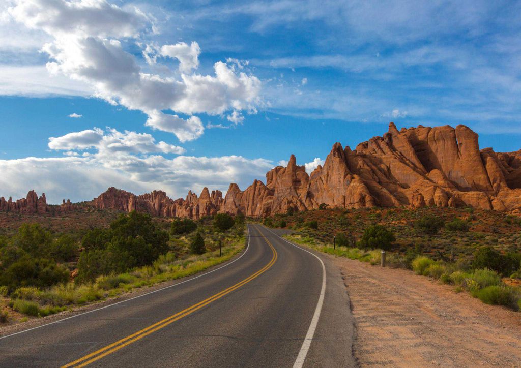 hansepuzzle 19576 - Nationalpark Puzzle, 260 Teile, Natur, 41,0 x 28,0cm mit hochwertiger Aufbewahrung, Kartonbox und wiederverschließbarem Beutel