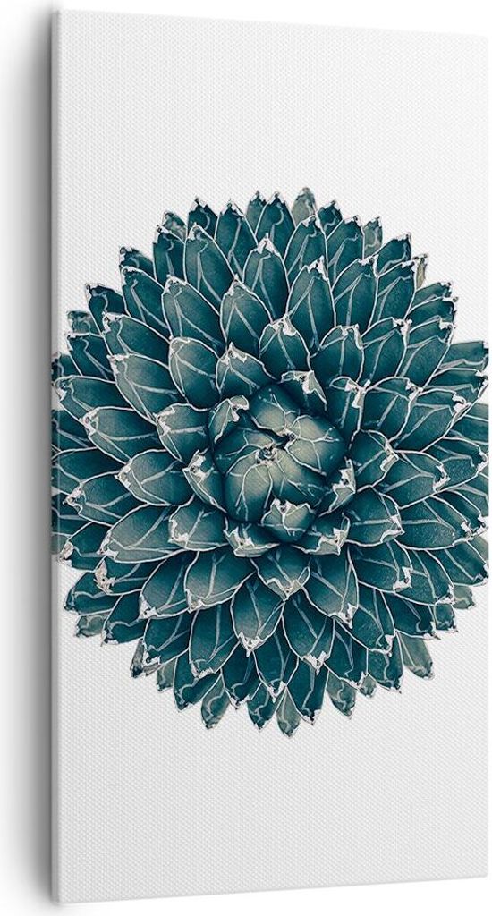 Bild auf Leinwand - Leinwandbild - Einteilig - Agave Königin Victoria - 55x100cm - Wand Bild - Wanddeko - Wandbilder - Leinwanddruck - Bilder - Wa...