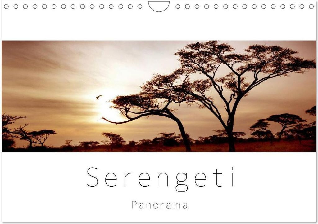 Serengeti Panorama (Wandkalender 2026 DIN A4 quer), CALVENDO Monatskalender