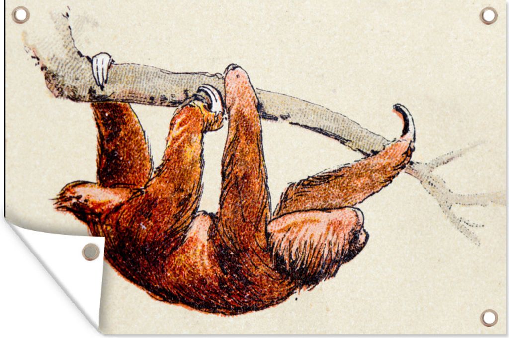 MuchoWow 90x60 cm Outdoor-Poster Gartendeko Sichtschutz Garten Poster für den Garten Eine Illustration eines Dreizehenfaultiers