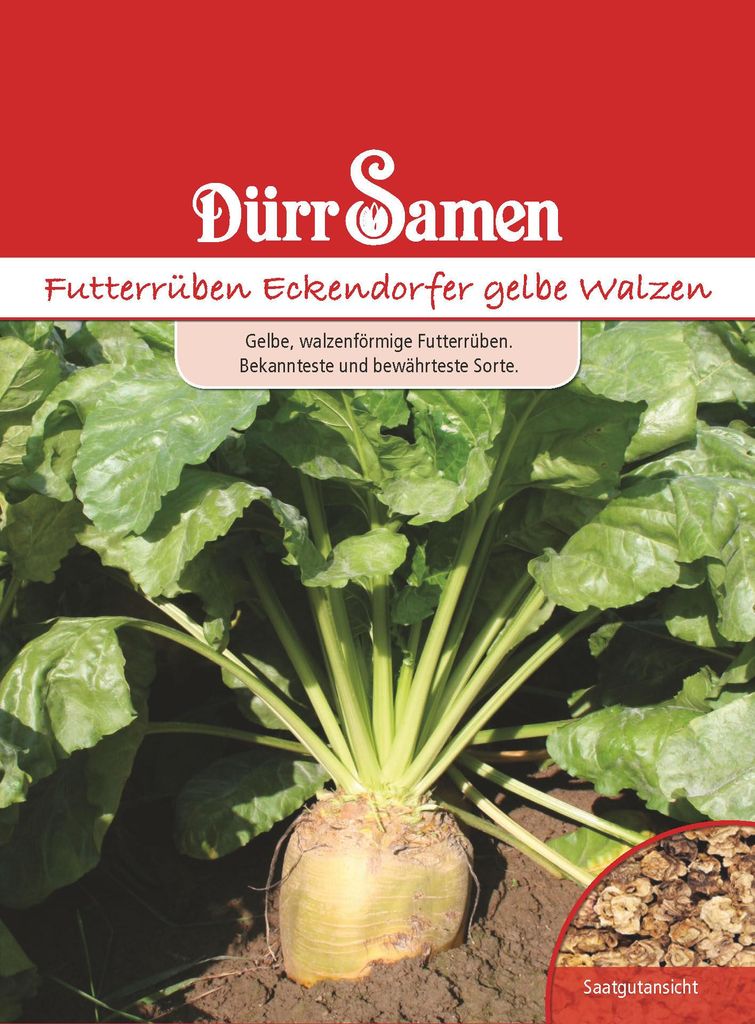 Dürr-Samen - Futterrüben Eckendorfer gelbe Walzen - Saatgut Produktbild 