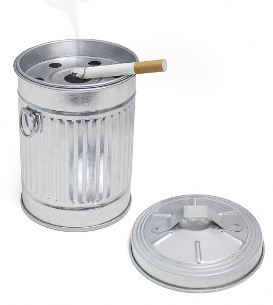 Posacenere per rifiuti - Metallo zincato argento 13 x 9 cm Immagine del prodotto 