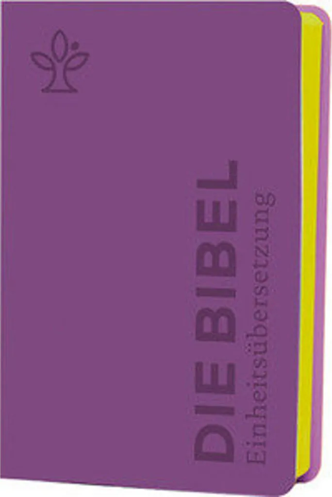 Bible avec Galet de Méditation Lila - Édition Senfkorn de Voyage
