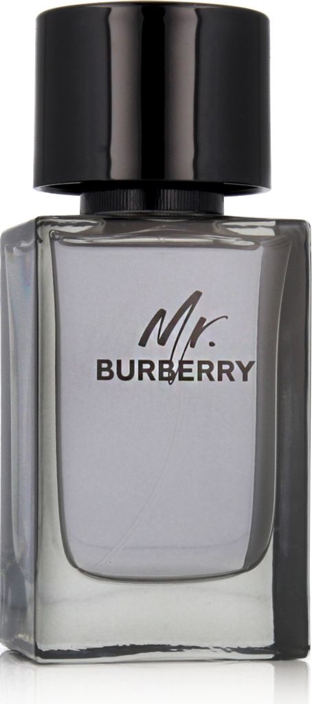 Burberry Mr. Burberry EDT 100 ml M Image du produit 
