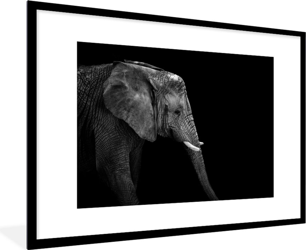 MuchoWow Gerahmtes Poster Elefant - Schwarz und weiß - Porträt - Tiere 90x60 cm - Poster mit Schwarzem Bilderrahmen Wandposter Rahmen Foto Bild...