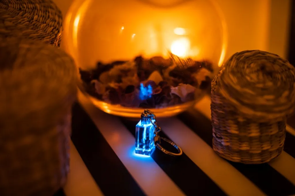 Regalo Unico Cane da Acqua Spagnolo Portachiavi Cristallo LED Art-Dog - 11