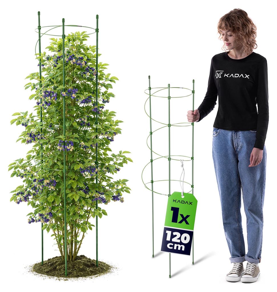 Tuteur KADAX 120 cm, 1 pièce, support pour plantes en métal Image du produit 