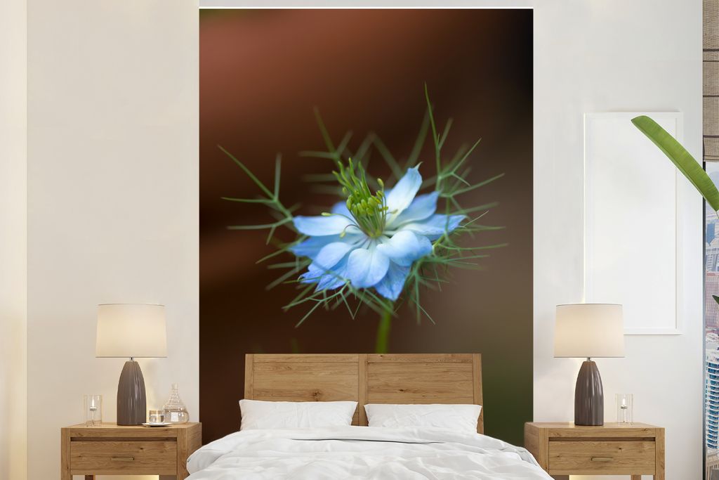 MuchoWow Fototapete für Wohnzimmer oder Schlafzimmer Wandtapete Vinyl Motivtapete Leuchtend blaue Nigella-Blüte - 170x260 cm - Wohnzimmertapete