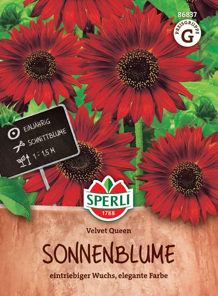 Artikelbild 2 von 'Sonnenblume Velvet Queen' aus der Kategorie Sonnenblumensamen