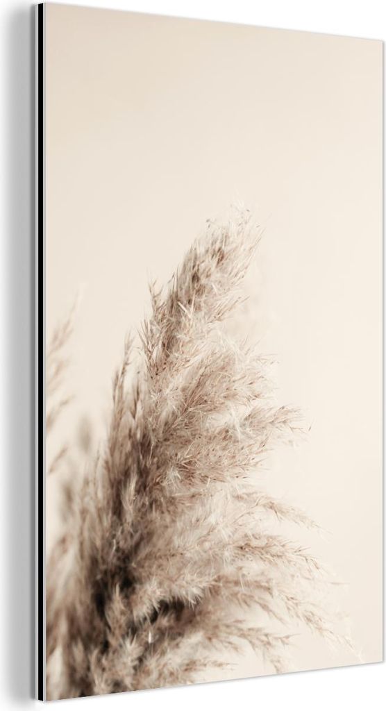 MuchoWow Wanddekoration Metall Metallbild Wandkunst 100x150 cm Pflanzen - Pampaswedel - Pampasgras - Beige - Natur MuchoWow Aluminium Gemälde - Bild