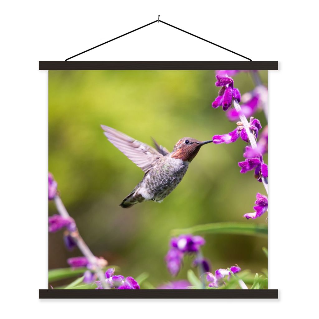 MuchoWow Textilposter Kolibri - Vogel - Natur 60x60 cm mit schwarzem Rahmen - Posteraufhänger
