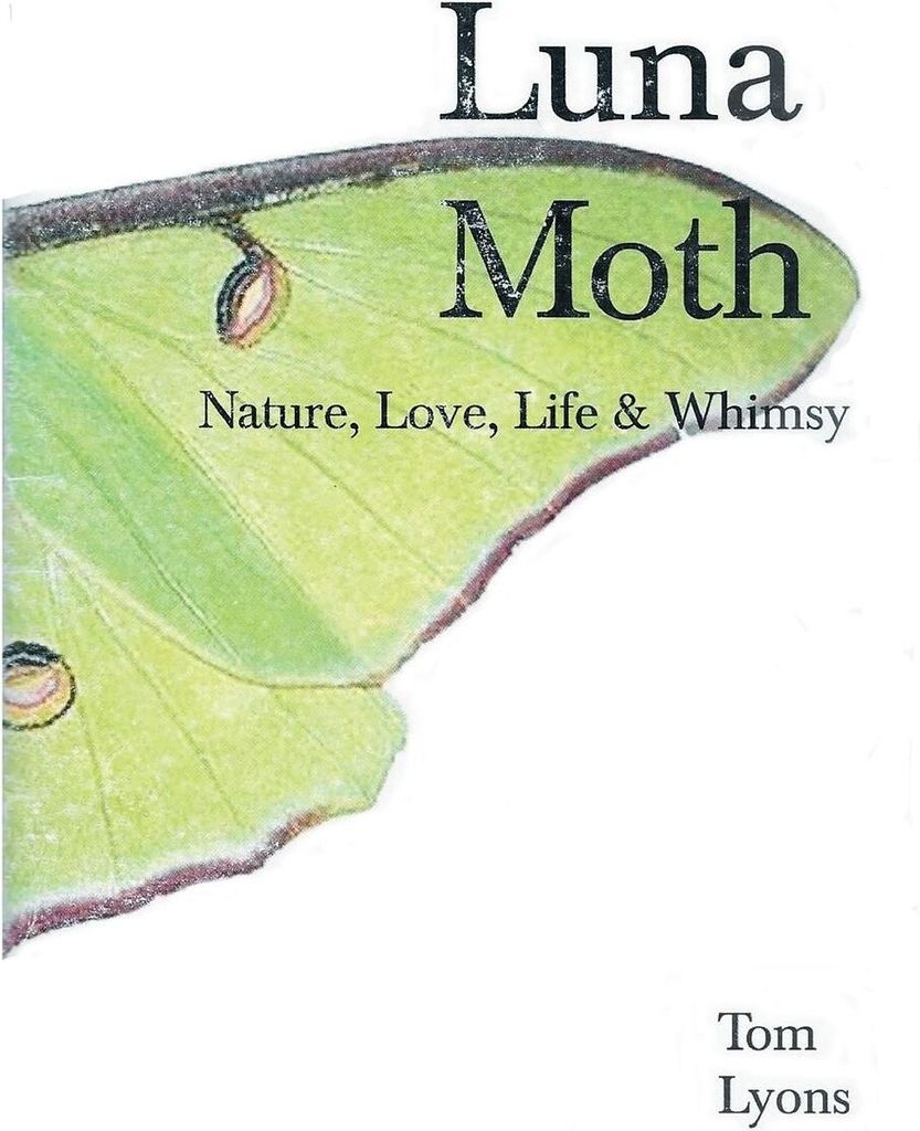 Luna Moth