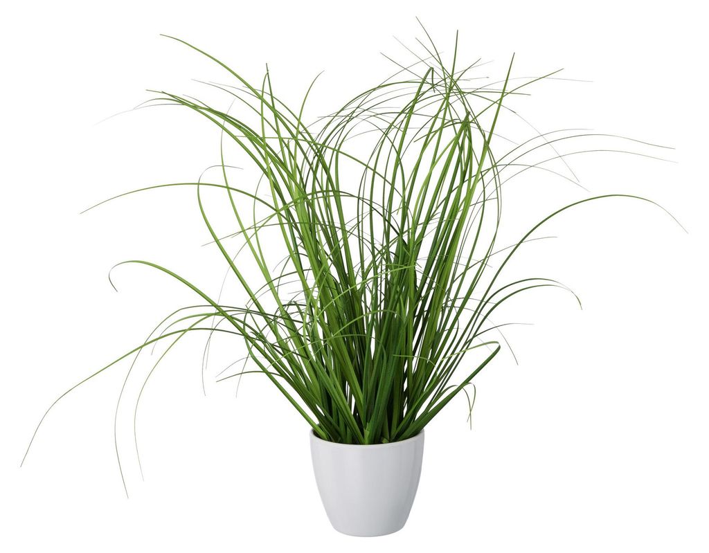 CREATIV green künstlicher Grasbusch 40cm im weißen Produktbild 