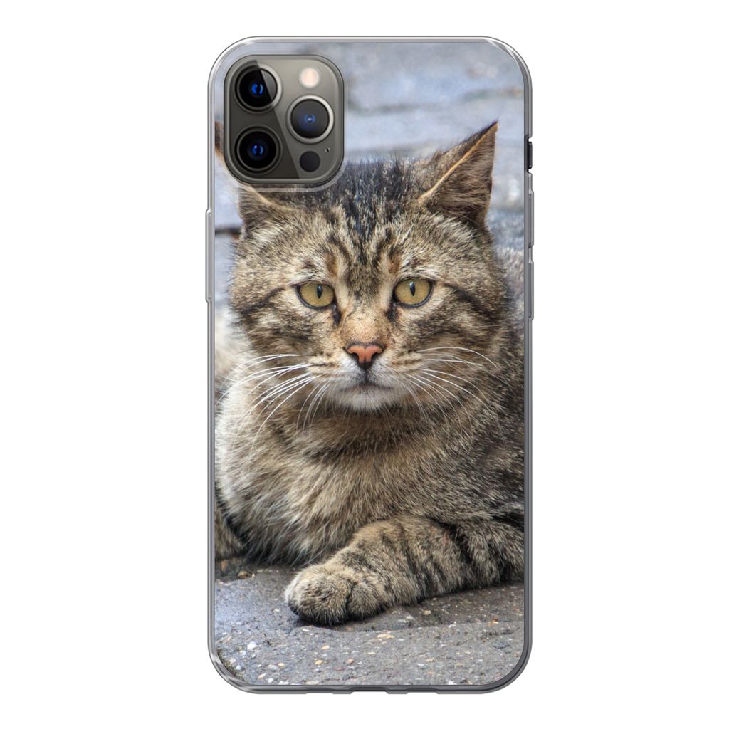 MuchoWow® Handyhülle Schutzhülle Hülle für iPhone 13 Pro Produktbild 