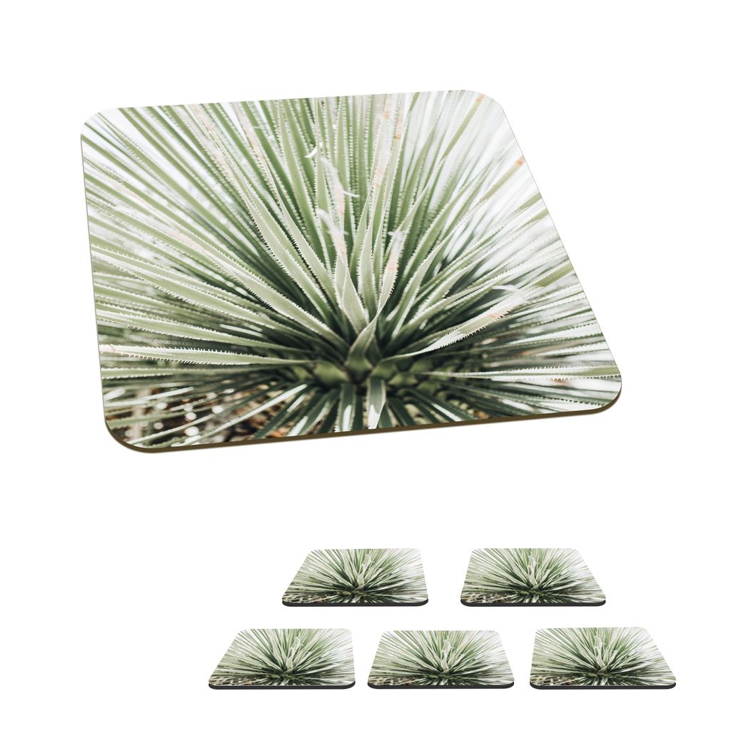 KitchenYeah Glasuntersetzer Quadratisch 6er Set Grün - Blätter - Natur 10x10 cm Untersetzer für Gläser - Getränkeuntersetzer - Tischplatten...