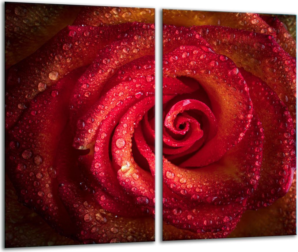 Herdabdeckplatten 2 teilig 30x52 Glaskeramikfeld Abdeckung Glas Rosen