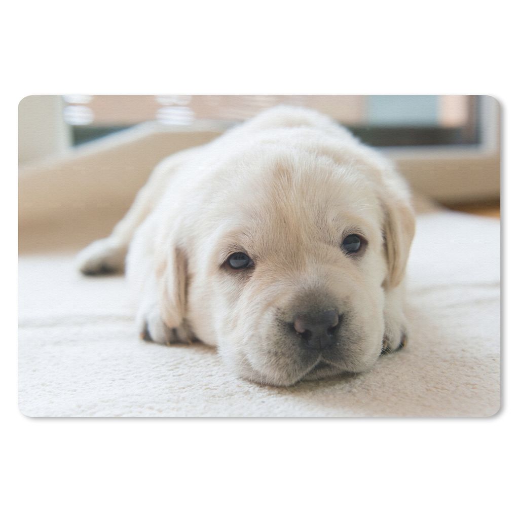 MuchoWow Mauspad Mousepad Eine Nahaufnahme eines müden Labrador-Welpen 27x18 cm - Mousepads - Maus Mat - Pad - Mausunterlage - Büroartikel - De...