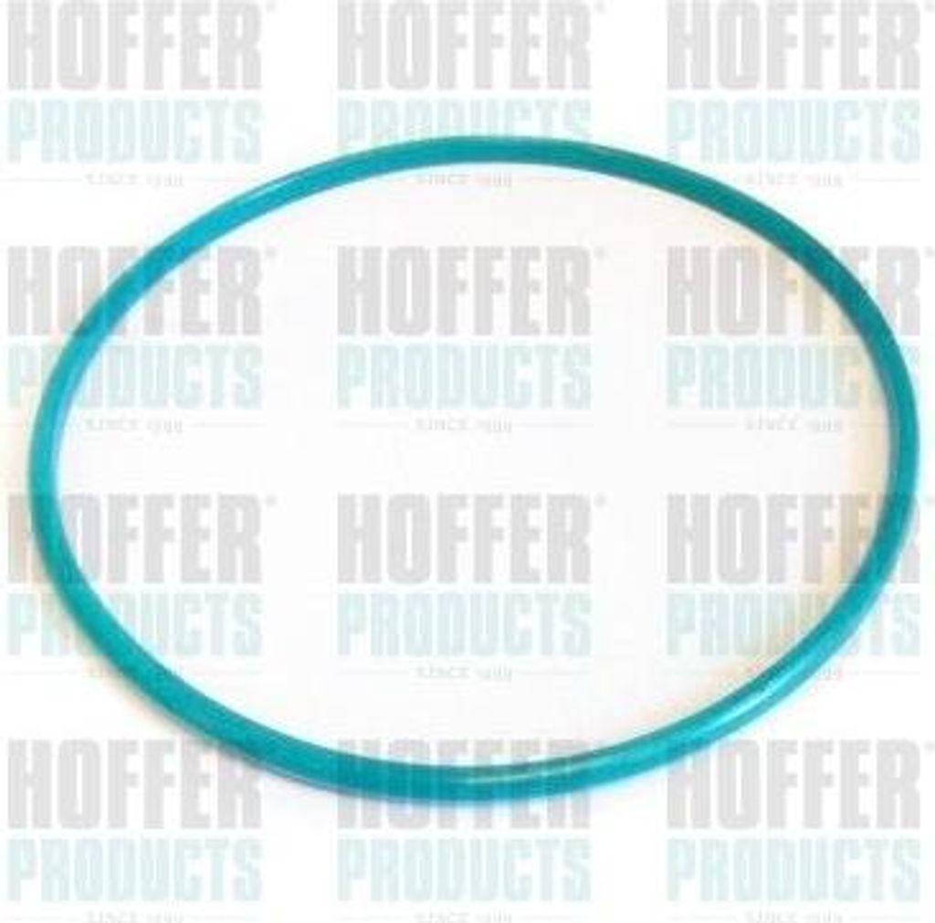 HOFFER GSK01 Dichtung, Kraftstoffstandgeber OE 1462 kompatibel mit Roadster, Fortwo, Forfour, Crossblade, City-Coupe, Cabrio, Twingo, Rapid, Modus,...