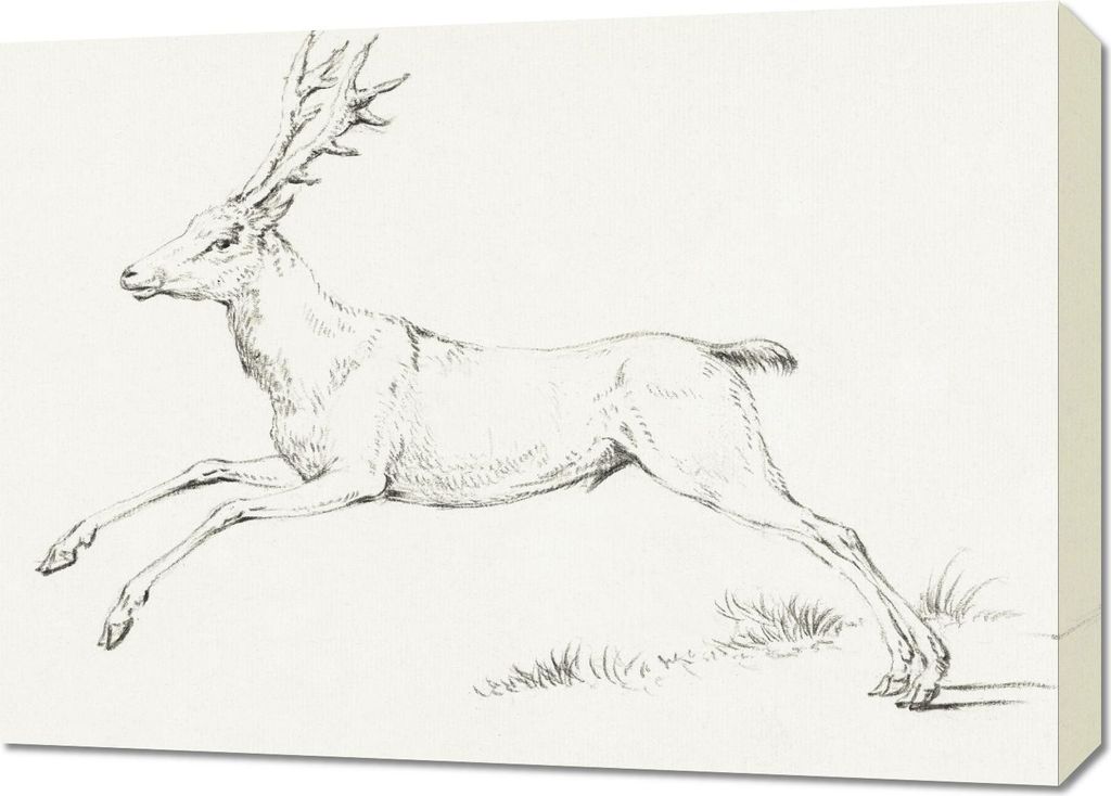 Bild 70x50cm Springender Hirsch, Jean Bernard Vintage für das Wohnzimmer