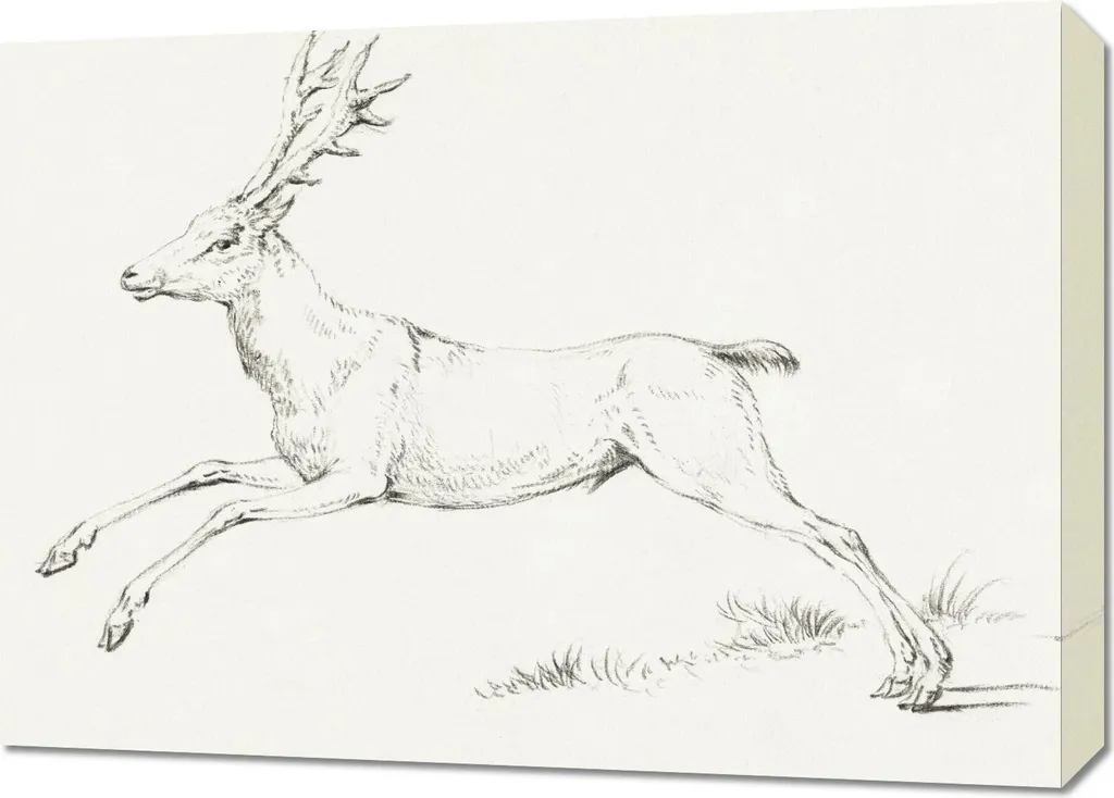Tableau Cerf Vintage 70x50 cm en Haute Définition par Jean Bernard