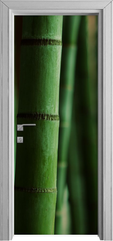 Tür Selbstklebende 80x210 cm Türfolie Türtapete Klebefolie - Bamboo Wald