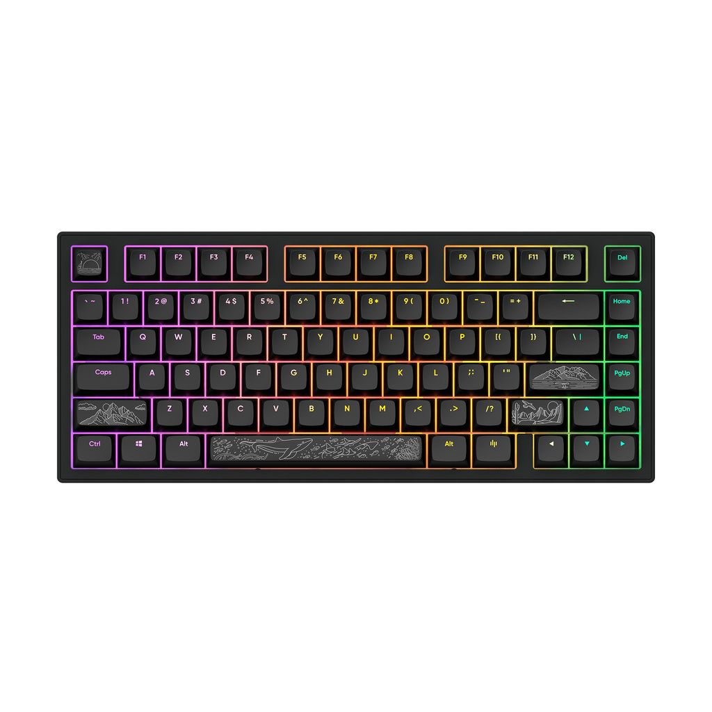 Dark Project ALU Terra Nostra Black Wired Obrázok produktu 
