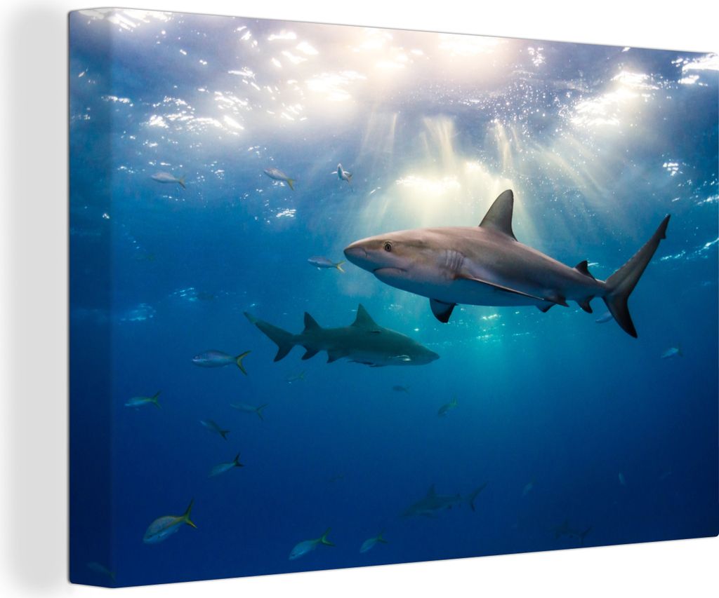 OneMillionCanvasses - Leinwandbilder - 150x100 cm, Einige Haie schwimmen zwischen den Fischen, Wandbilder Kunstdruck Wanddekoration