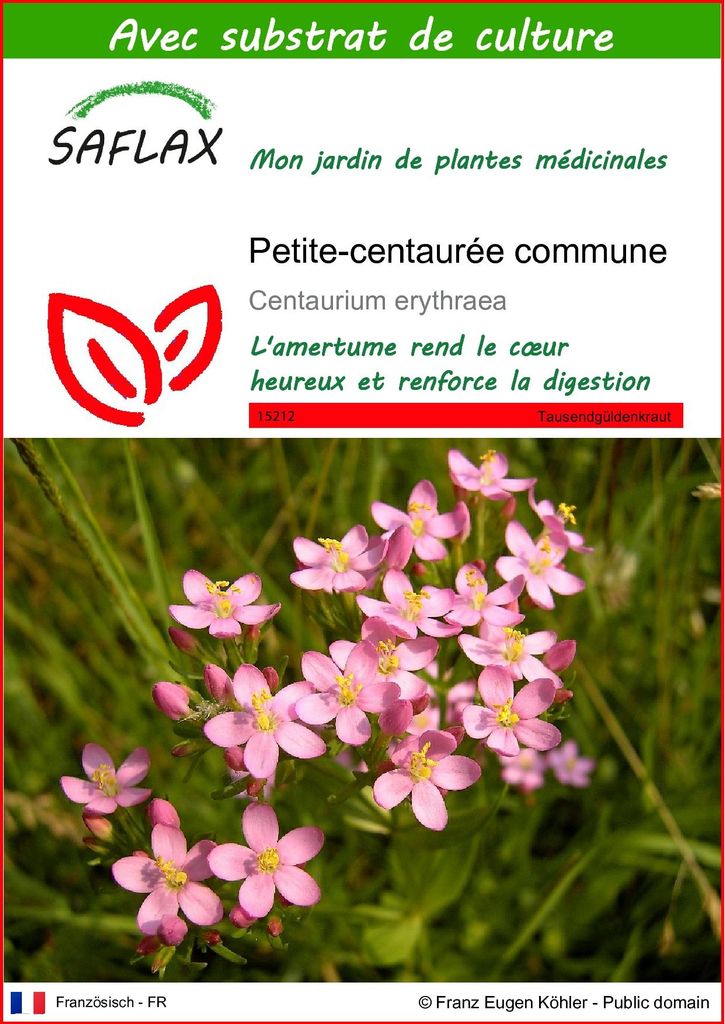 SAFLAX  - Petite-centaurée commune - 250 graines - Avec Image du produit 