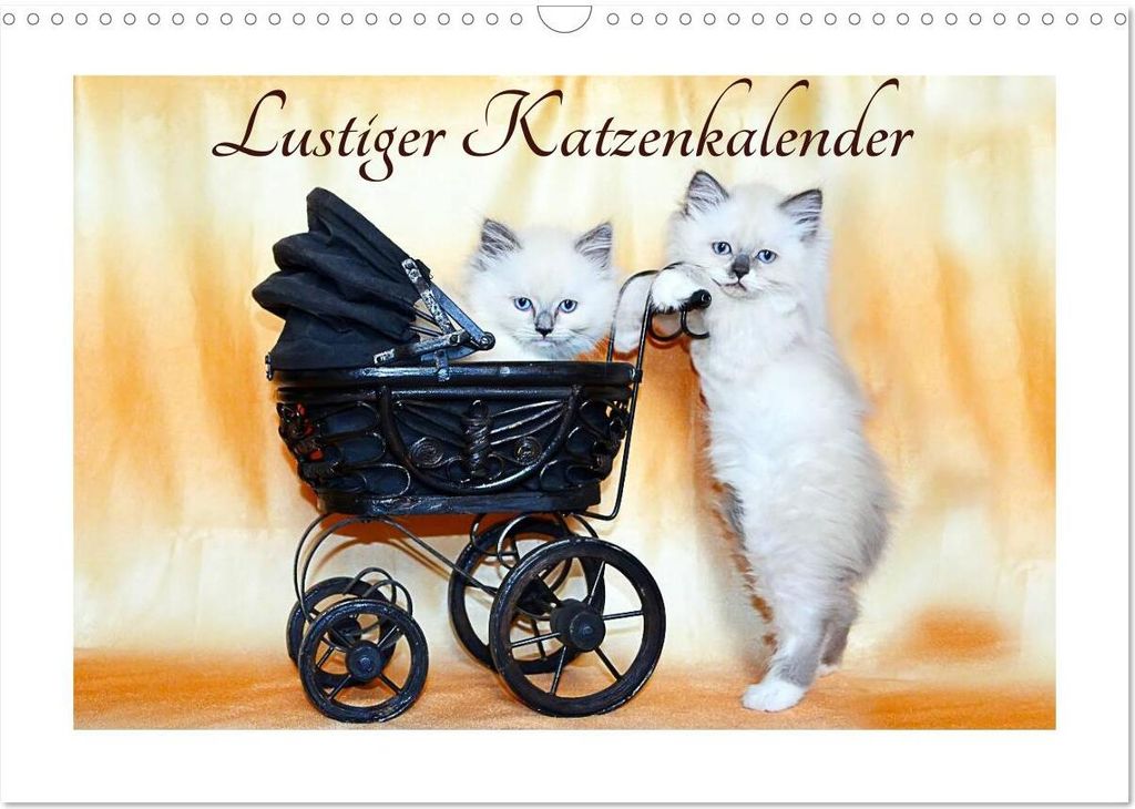 Lustiger Katzenkalender (Wandkalender 2026 DIN A3 quer), CALVENDO Monatskalender