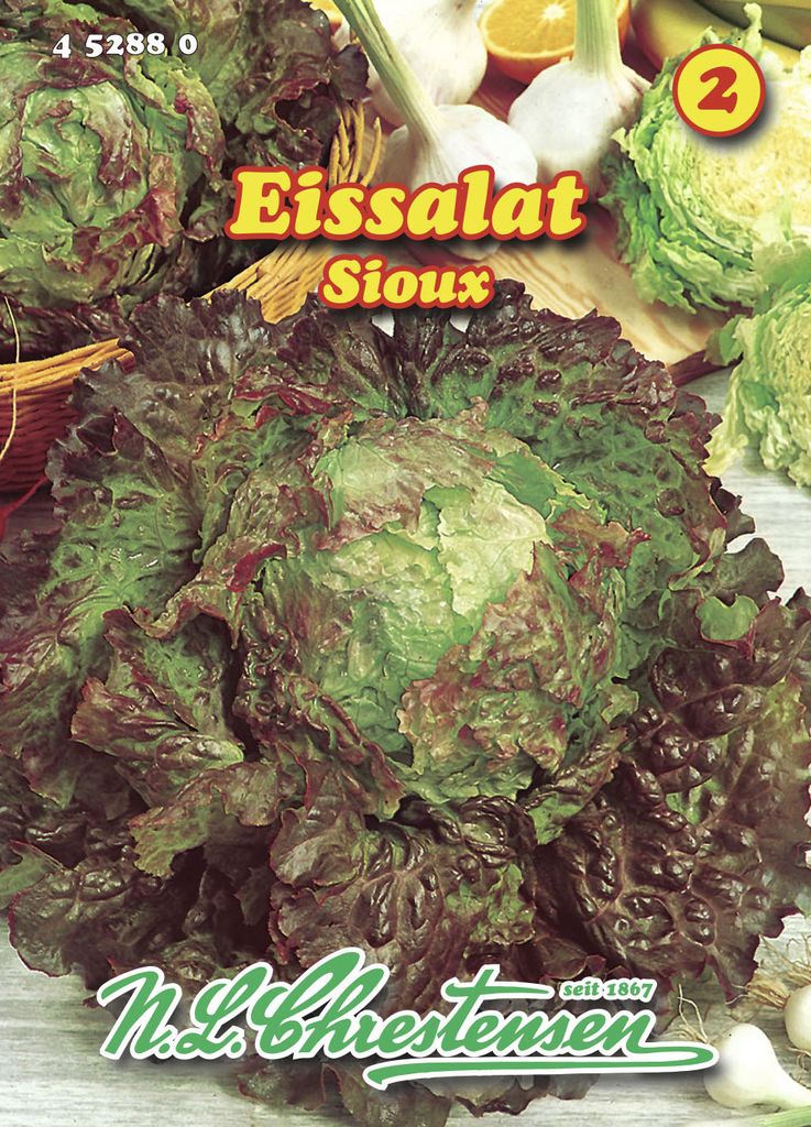 [STREICHUNG 2026] Eissalat Sioux | Eissalatsamen von N.L. Produktbild 