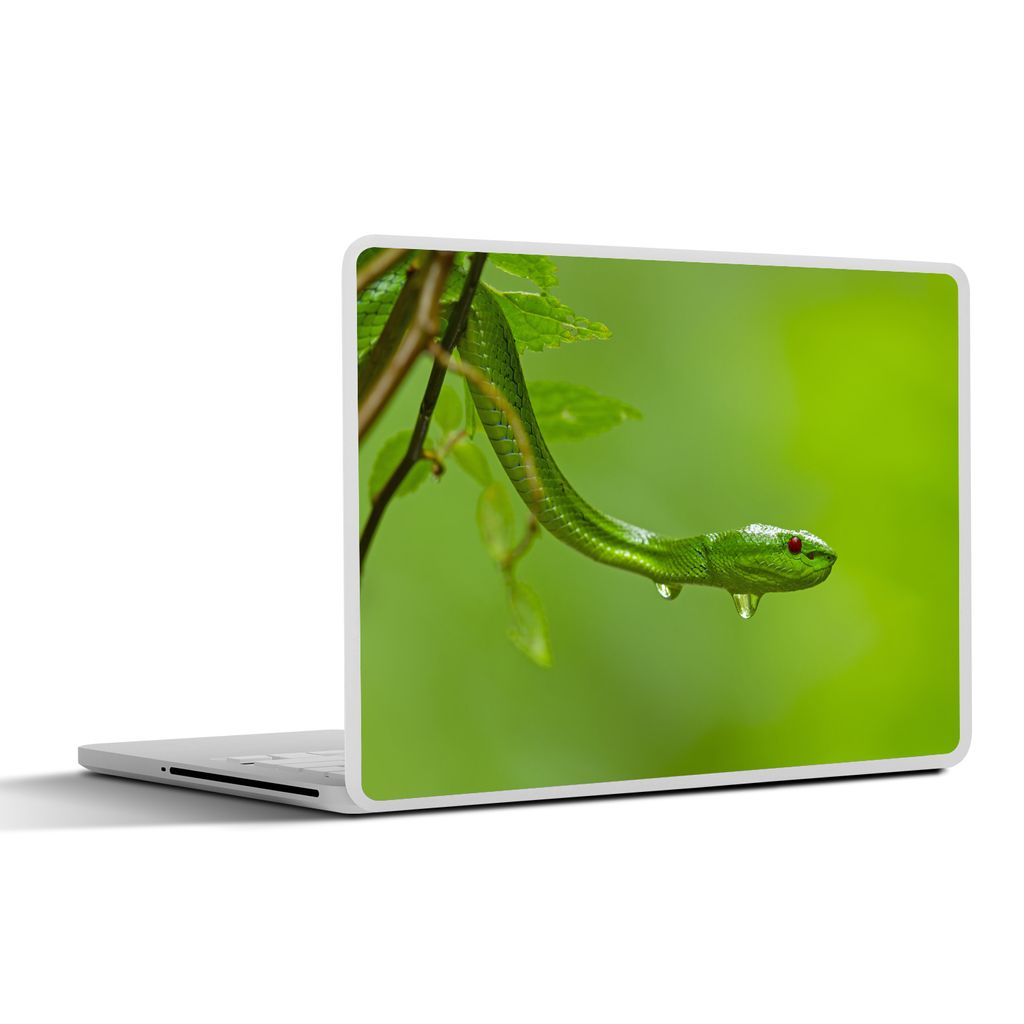 MuchoWow Laptop Aufkleber Sticker Cover Grüne Schlange aus der Nähe 25x18 cm - Laptop-Deko